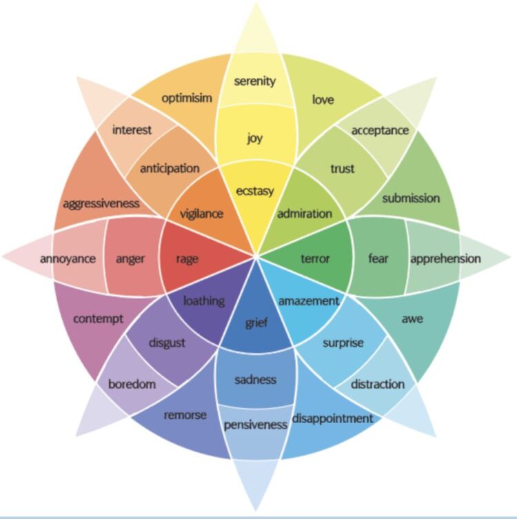 چرخه هیجانها